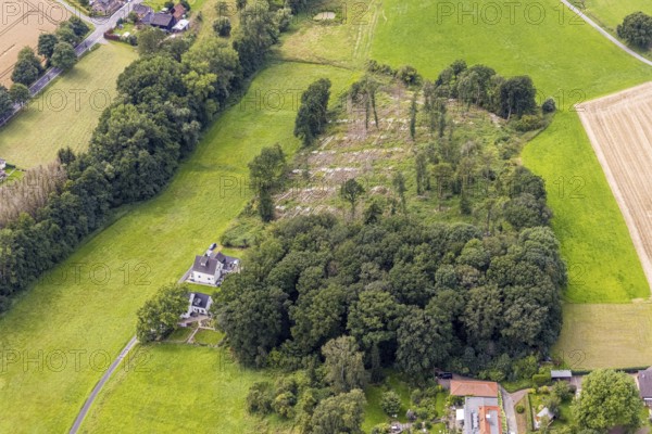 Aerial view, forest with felled trees at Holtkamp in the district Bausenhagen, Fröndenberg/Ruhr, Ruhr area, North Rhine-Westphalia, Germany, DE, Europe, clear cutting, aerial view, aerial photography, aerial photography, overview, bird's eye view, forest damage, forest damage, birds-eyes view, overview