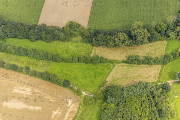 Aerial view, The Rammbach crosses Ölmühlenweg in Warmen near Bentrop, Fröndenberg/Ruhr, Ruhr area, North Rhine-Westphalia, Germany, DE, Europe, aerial view, aerial photography, aerial photography, Ölmühlenweg, overview, bird's-eye view, meadows and fields, birds-eyes view, overview