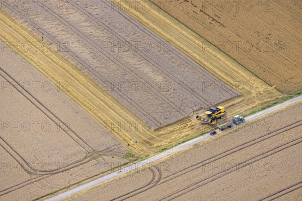 Aerial view, harvest at Palzweg in Frohnhausen, Fröndenberg/Ruhr, Ruhr area, North Rhine-Westphalia, Germany, DE, harvest, Europe, agricultural machinery, aerial view, aerial photography, aerial photography, tractor, overview, bird's-eye view, overview
