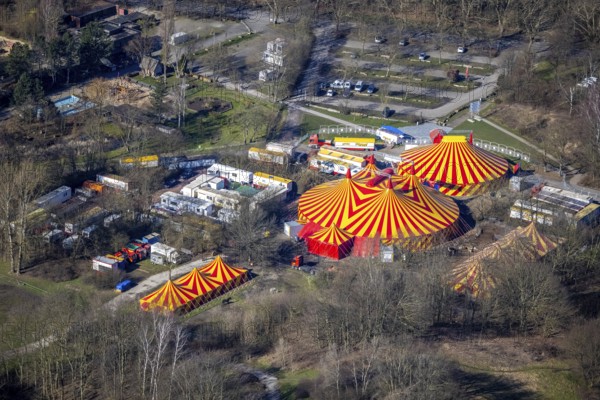 Aerial view, circus tents in Revierpark Nienhausen, Feldmarkstraße, Feldmark, Gelsenkirchen, Ruhr area, North Rhine-Westphalia, Germany, DE, Europe, leisure activities, leisure park, aerial view, aerial photography, aerial photography, park, overview, bird's eye view, circus, birds-eyes view, overview