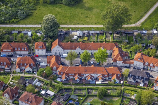 Aerial view, Schüngelberg colliery housing estate at Hugo colliery, Buer, Gelsenkirchen, Ruhr area, North Rhine-Westphalia, Germany, DE, Europe, property tax, real estate, aerial view, aerial photography, aerial photography, overview, bird's-eye view, housing estate, housing and living, residential area, residential buildings, housing quality, residential neighbourhood, housing estate, birds-eyes view, overview