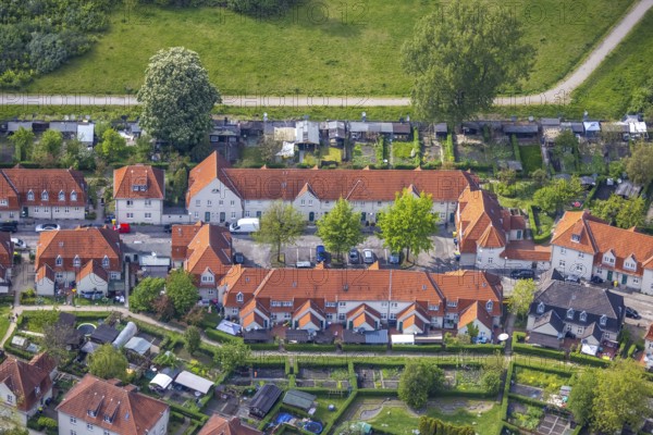 Aerial view, Schüngelberg colliery housing estate at Hugo colliery, Buer, Gelsenkirchen, Ruhr area, North Rhine-Westphalia, Germany, DE, Europe, property tax, real estate, aerial view, aerial photography, aerial photography, overview, bird's-eye view, housing estate, housing and living, residential area, residential buildings, housing quality, residential neighbourhood, housing estate, birds-eyes view, overview