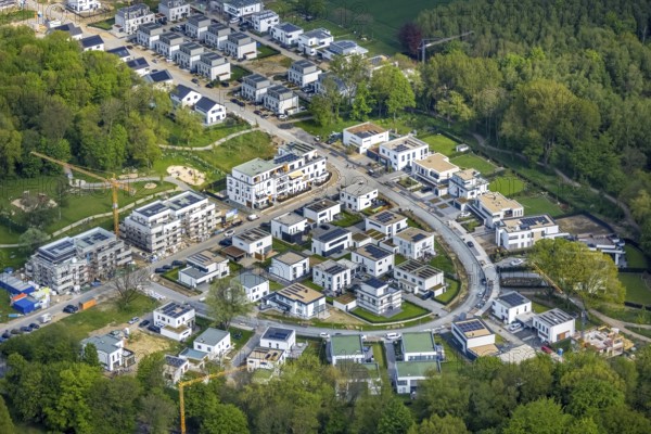 Aerial view, Am Buerschen Waldbogen, construction site housing estate, Resse, Gelsenkirchen, Ruhr area, North Rhine-Westphalia, Germany, DE, Europe, property tax, real estate, aerial view, aerial photography, aerial photography, overview, bird's-eye view, housing estate, housing and living, residential area, residential buildings, housing quality, residential neighbourhood, housing estate, birds-eyes view, overview