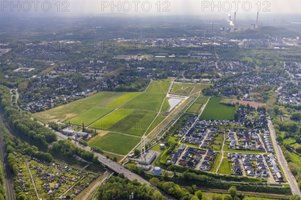 Aerial view, Glückauf Park Hassel - Park des Wandels, housing estate Valentinstraße, Am Brander Kamp, Auenweg, Am Bachlauf, Hassel, Gelsenkirchen, Ruhr area, North Rhine-Westphalia, Germany, DE, Europe, distant view, property tax, real estate, aerial view, aerial photography, aerial photography, overview, bird's eye view, housing estate, housing and living, residential area, residential buildings, housing quality, residential neighbourhood, housing estate, birds-eyes view, overview