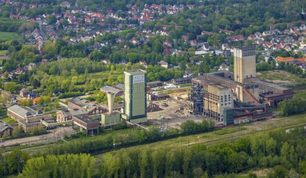 Aerial view, former DSK Lippe mine, Egonstraße, city limits to Gelsenkirchen, Westerholt, Hassel, Gelsenkirchen, Ruhr area, North Rhine-Westphalia, Germany, demolition, demolition work, mine, DE, DSK, Europe, Herten, aerial view, aerial photography, aerial photography, coal mine, overview, bird's-eye view, former Westerholt colliery, overview