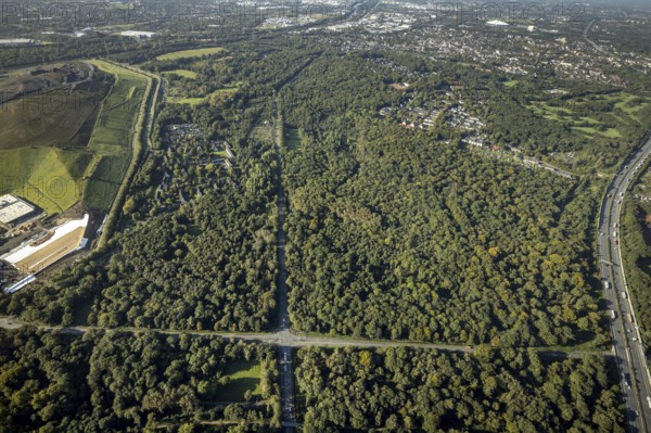 Aerial view, Resser Mark city forest with Münsterstrasse in the Resser Mark district of Gelsenkirchen, Ruhr area, North Rhine-Westphalia, Germany, DE, Emscherbruch, Europe, Gelsenkirchen, aerial view, aerial photography, aerial photography, nature reserve, Emscherbruch nature reserve, overview, bird's eye view, forest, birds-eyes view, overview