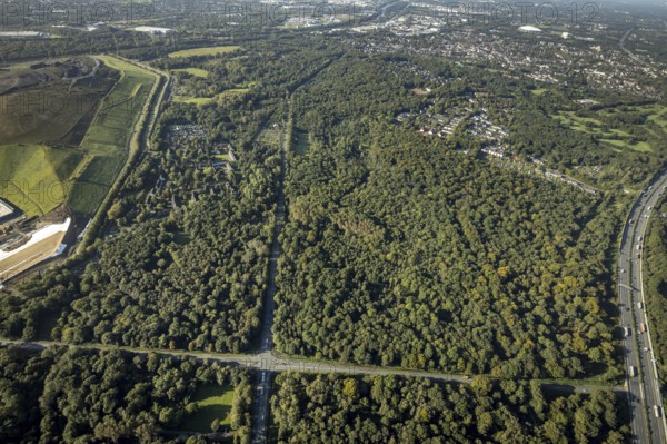 Aerial view, Resser Mark city forest with Münsterstrasse in the Resser Mark district of Gelsenkirchen, Ruhr area, North Rhine-Westphalia, Germany, DE, Emscherbruch, Europe, Gelsenkirchen, aerial view, aerial photography, aerial photography, nature reserve, Emscherbruch nature reserve, overview, bird's eye view, forest, birds-eyes view, overview