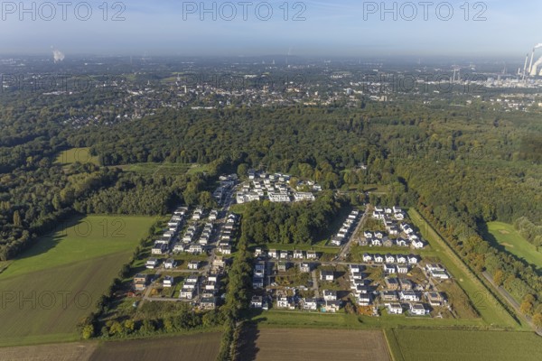 Aerial view, housing estate Am Buerschen Waldbogen in the district Resse in Gelsenkirchen, Ruhr area, North Rhine-Westphalia, Germany, Am Löchterheider Wald, construction area, building site, building plots, construction project, DE, Europe, Gelsenkirchen, property tax, Im Waldquartier, real estate, aerial view, aerial photography, aerial photography, new construction, overview, bird's-eye view, housing estate, housing and living, residential area, residential buildings, residential quality, residential neighbourhood, housing estate, birds-eyes view, overview
