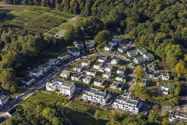 Aerial view, housing estate Am Buerschen Waldbogen in the district Resse in Gelsenkirchen, Ruhr area, North Rhine-Westphalia, Germany, Am Löchterheider Wald, construction area, building site, building plots, construction project, DE, Europe, Gelsenkirchen, property tax, Im Waldquartier, real estate, aerial view, aerial photography, aerial photography, new construction, overview, bird's-eye view, housing estate, housing and living, residential area, residential buildings, residential quality, residential neighbourhood, housing estate, birds-eyes view, overview