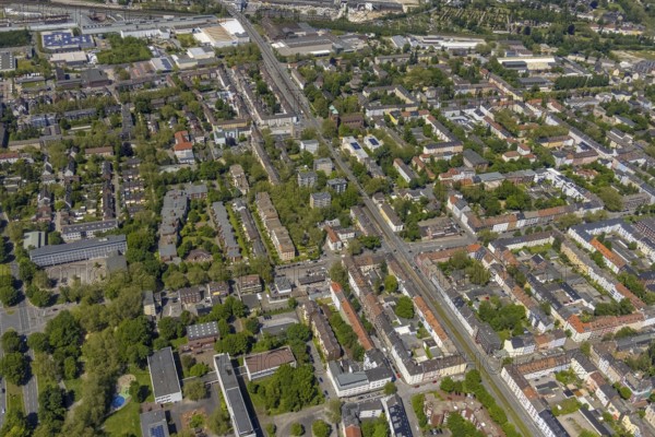 Aerial view, local supply centre Schalke, Schalker Straße, retail centre, Schalke-Nord, Gelsenkirchen, Ruhr area, North Rhine-Westphalia, Germany, DE, Europe, birds-eyes view, aerial view, aerial photography, aerial photography, overview, overview, bird's eye view, retail centres of the city of Gelsenkirchen, shopping street, district