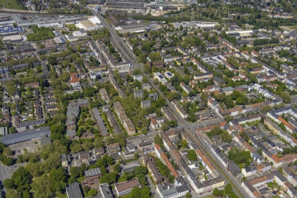 Aerial view, local supply centre Schalke, Schalker Straße, retail centre, Schalke-Nord, Gelsenkirchen, Ruhr area, North Rhine-Westphalia, Germany, DE, Europe, birds-eyes view, aerial view, aerial photography, aerial photography, overview, overview, bird's eye view, retail centres of the city of Gelsenkirchen, shopping street, district