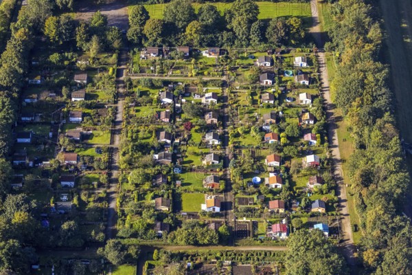 Aerial view, allotment garden association Bismarck-West in the Erle district of Gelsenkirchen, Ruhr area, North Rhine-Westphalia, Germany, DE, Europe, Gelsenkirchen, community garden, allotment garden, allotment garden site, allotment garden association, aerial view, aerial photography, aerial photography, allotment garden, overview, bird's-eye view, overview