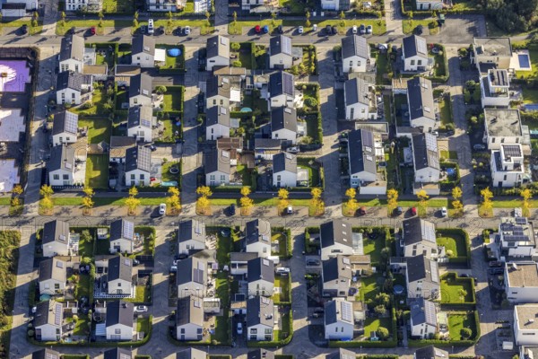 Aerial view, terraced house housing estate at Graf Bismarck harbour in the Bismarck district of Gelsenkirchen, Ruhr area, North Rhine-Westphalia, Germany, DE, single-family houses, Europe, Gelsenkirchen, property tax, harbour, harbour area, real estate, marina, aerial view, aerial photography, aerial photography, terraced houses, overview, bird's-eye view, residential complex, living and life, residential area, residential houses, quality of life, residential quarter, housing estate, marina, birds-eyes view, overview