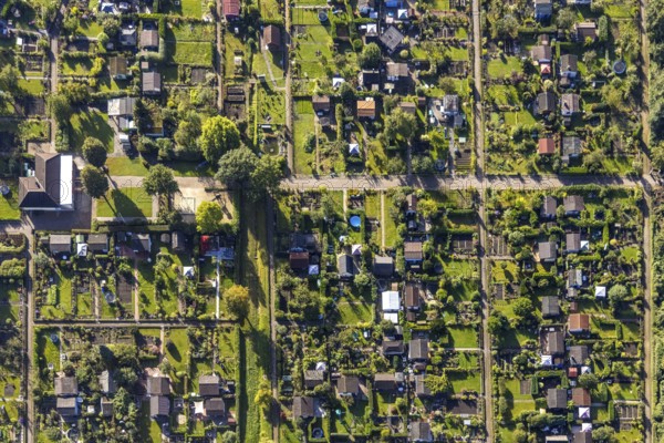 Aerial view, allotment garden association Buer-Erle in the district Erle in Gelsenkirchen, Ruhr area, North Rhine-Westphalia, Germany, DE, Europe, Gelsenkirchen, community garden, allotment garden, allotment garden site, allotment garden association, aerial view, aerial photography, aerial photography, allotment garden, overview, bird's-eye view, overview