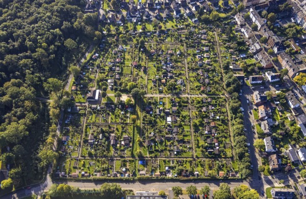 Aerial view, allotment garden association Buer-Erle in the district Erle in Gelsenkirchen, Ruhr area, North Rhine-Westphalia, Germany, DE, Europe, Gelsenkirchen, community garden, allotment garden, allotment garden site, allotment garden association, aerial view, aerial photography, aerial photography, allotment garden, overview, bird's-eye view, overview