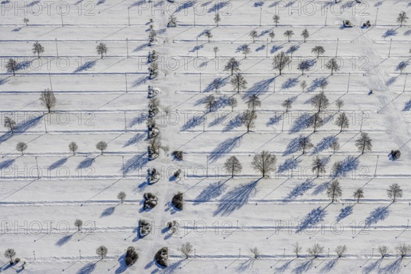 Aerial view, trees in the snow at Essen / Mülheim airport, Haarzopf, Essen, Ruhr area, North Rhine-Westphalia, Germany, trees in the snow, DE, Europe, airfield, shapes and colours, aerial view, aerial photography, aerial photography, snow, overview, bird's-eye view, winter, birds-eyes view, overview