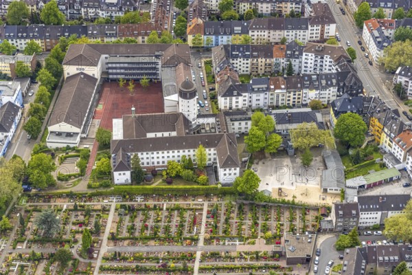 Aerial view, B.M.V.-Schule Essen Privatschule, Städt. kath. Bardelebenschule, Essen-Holsterhausen, Essen, Ruhr area, North Rhine-Westphalia, Germany, education, educational institution, DE, Europe, educational institute, aerial view, aerial photography, aerial photography, school, tower, overview, bird's-eye view, overview