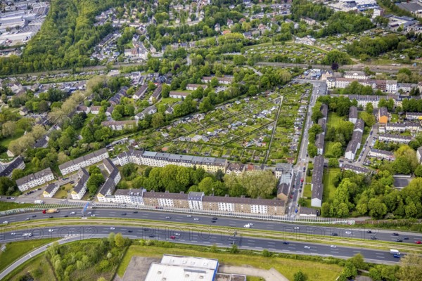 Aerial view, allotment garden association Essen-Kray, residential buildings at the motorway A40, Essen-Kray, Essen, Ruhr area, North Rhine-Westphalia, Germany, motorway A40, DE, Europe, community garden, property tax, Hubertstraße, real estate, KGV, allotment garden, allotment garden site, allotment garden association, allotment garden association, aerial view, aerial photography, aerial photography, noise barrier, allotment garden, overview, bird's eye view, housing estate, housing and living, residential area, residential buildings, housing quality, housing estate, birds-eyes view, overview