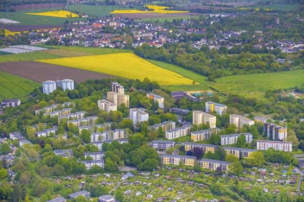 Aerial view, rape fields, Essen-Freisenbruch, Essen, Ruhr area, North Rhine-Westphalia, Germany, DE, Europe, colour yellow, shapes and colours, aerial view, aerial photography, aerial photography, nature, overview, bird's-eye view, meadows and fields, birds-eyes view, overview