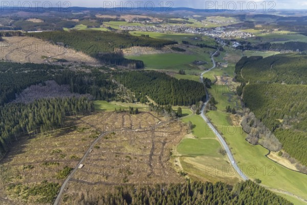 Aerial photo, forest damage in the forest area Berg Ebschloh, Erndtebrück, Siegerland, North Rhine-Westphalia, Germany, tree mortality, DE, Europe, aerial photo, aerial photography, aerial photography, overview, bird's-eye view, forest, forest area, forest damage, forest mortality, birds-eyes view, overview, bark beetle plague, spruce mortality, clearing, tree clearing, deforestation, woodpile