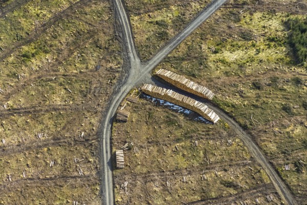 Aerial view, forest damage in the forest area Berg Ebschloh, Erndtebrück, Siegerland, North Rhine-Westphalia, Germany, tree dieback, DE, Europe, shapes and colours, aerial view, aerial photography, aerial photography, overview, bird's-eye view, forest, forest area, forest damage, forest dieback, birds-eyes view, overview, bark beetle plague, spruce dieback, clearing, tree clearing, deforestation, woodpile