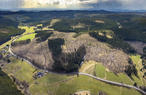Aerial photo, forest damage in the forest area Berg Ebschloh, Erndtebrück, Siegerland, North Rhine-Westphalia, Germany, tree mortality, DE, Europe, aerial photo, aerial photography, aerial photography, overview, bird's-eye view, forest, forest area, forest damage, forest mortality, birds-eyes view, overview, bark beetle plague, spruce mortality, clearing, tree clearing, deforestation, woodpile