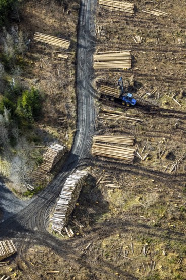 Aerial photo, forest damage in the forest area Berg Ebschloh, timber transport, Erndtebrück, Siegerland, North Rhine-Westphalia, Germany, tree dieback, DE, Europe, aerial photo, aerial photography, aerial photography, overview, bird's eye view, forest, forest area, forest damage, forest dieback, birds-eyes view, overview, bark beetle plague, spruce dieback, clearing, tree clearing, deforestation, woodpile