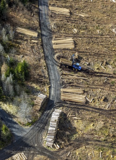 Aerial photo, forest damage in the forest area Berg Ebschloh, timber transport, Erndtebrück, Siegerland, North Rhine-Westphalia, Germany, tree dieback, DE, Europe, aerial photo, aerial photography, aerial photography, overview, bird's eye view, forest, forest area, forest damage, forest dieback, birds-eyes view, overview, bark beetle plague, spruce dieback, clearing, tree clearing, deforestation, woodpile