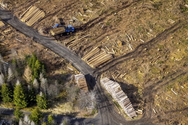 Aerial photo, forest damage in the forest area Berg Ebschloh, timber transport, Erndtebrück, Siegerland, North Rhine-Westphalia, Germany, tree dieback, DE, Europe, aerial photo, aerial photography, aerial photography, overview, bird's eye view, forest, forest area, forest damage, forest dieback, birds-eyes view, overview, bark beetle plague, spruce dieback, clearing, tree clearing, deforestation, woodpile