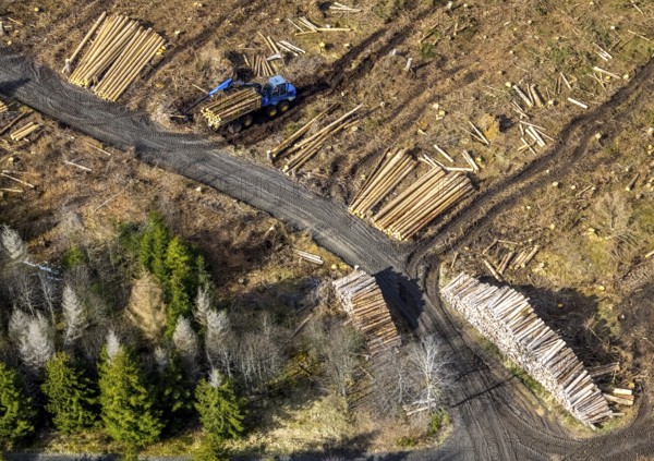 Aerial photo, forest damage in the forest area Berg Ebschloh, timber transport, Erndtebrück, Siegerland, North Rhine-Westphalia, Germany, tree dieback, DE, Europe, aerial photo, aerial photography, aerial photography, overview, bird's eye view, forest, forest area, forest damage, forest dieback, birds-eyes view, overview, bark beetle plague, spruce dieback, clearing, tree clearing, deforestation, woodpile