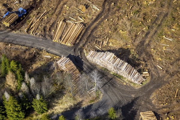 Aerial photo, forest damage in the forest area Berg Ebschloh, timber transport, Erndtebrück, Siegerland, North Rhine-Westphalia, Germany, tree dieback, DE, Europe, aerial photo, aerial photography, aerial photography, overview, bird's eye view, forest, forest area, forest damage, forest dieback, birds-eyes view, overview, bark beetle plague, spruce dieback, clearing, tree clearing, deforestation, woodpile