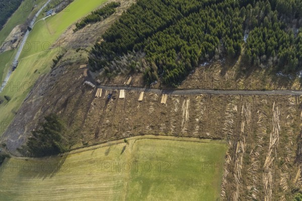 Aerial view, forest damage in the forest area Berg Ebschloh, Erndtebrück, Siegerland, North Rhine-Westphalia, Germany, tree dieback, DE, Europe, shapes and colours, aerial view, aerial photography, aerial photography, overview, bird's-eye view, forest, forest area, forest damage, forest dieback, birds-eyes view, overview, bark beetle plague, spruce dieback, clearing, tree clearing, deforestation, woodpile