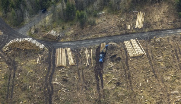 Aerial photo, forest damage in the forest area Berg Ebschloh, timber transport, Erndtebrück, Siegerland, North Rhine-Westphalia, Germany, tree dieback, DE, Europe, aerial photo, aerial photography, aerial photography, overview, bird's eye view, forest, forest area, forest damage, forest dieback, birds-eyes view, overview, bark beetle plague, spruce dieback, clearing, tree clearing, deforestation, woodpile