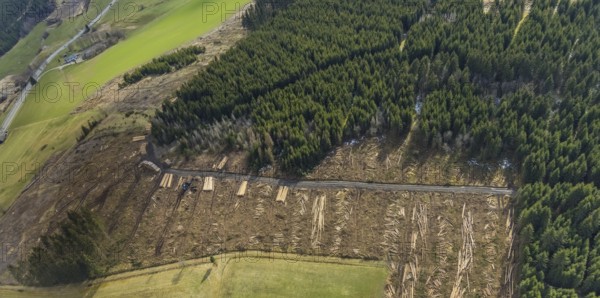 Aerial view, forest damage in the forest area Berg Ebschloh, Erndtebrück, Siegerland, North Rhine-Westphalia, Germany, tree dieback, DE, Europe, shapes and colours, aerial view, aerial photography, aerial photography, overview, bird's-eye view, forest, forest area, forest damage, forest dieback, birds-eyes view, overview, bark beetle plague, spruce dieback, clearing, tree clearing, deforestation, woodpile