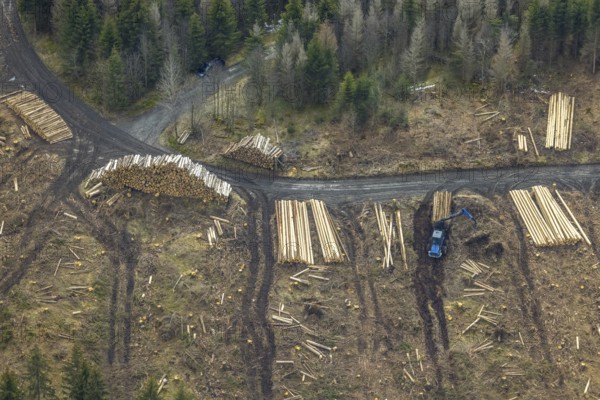 Aerial photo, forest damage in the forest area Berg Ebschloh, timber transport, Erndtebrück, Siegerland, North Rhine-Westphalia, Germany, tree dieback, DE, Europe, aerial photo, aerial photography, aerial photography, overview, bird's eye view, forest, forest area, forest damage, forest dieback, birds-eyes view, overview, bark beetle plague, spruce dieback, clearing, tree clearing, deforestation, woodpile