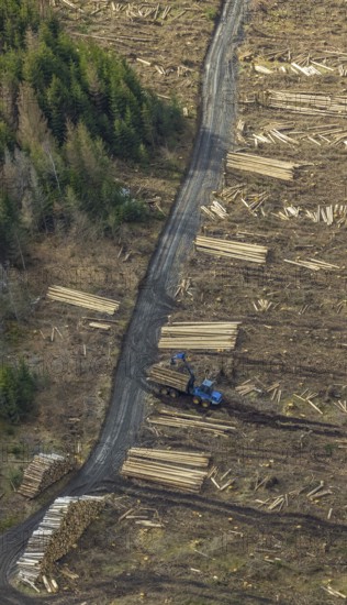 Aerial view, forest damage in the forest area Berg Ebschloh, Erndtebrück, Siegerland, North Rhine-Westphalia, Germany, tree dieback, DE, Europe, shapes and colours, aerial view, aerial photography, aerial photography, overview, bird's-eye view, forest, forest area, forest damage, forest dieback, birds-eyes view, overview, bark beetle plague, spruce dieback, clearing, tree clearing, deforestation, woodpile
