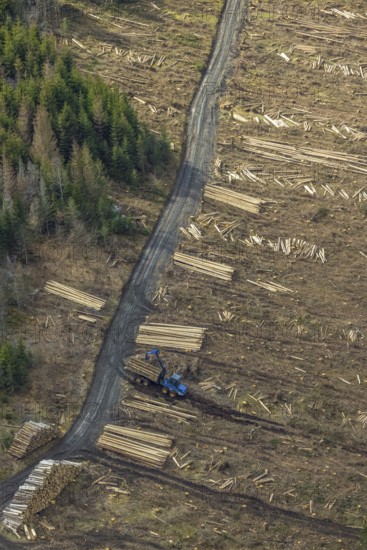 Aerial view, forest damage in the forest area Berg Ebschloh, Erndtebrück, Siegerland, North Rhine-Westphalia, Germany, tree dieback, DE, Europe, shapes and colours, aerial view, aerial photography, aerial photography, overview, bird's-eye view, forest, forest area, forest damage, forest dieback, birds-eyes view, overview, bark beetle plague, spruce dieback, clearing, tree clearing, deforestation, woodpile