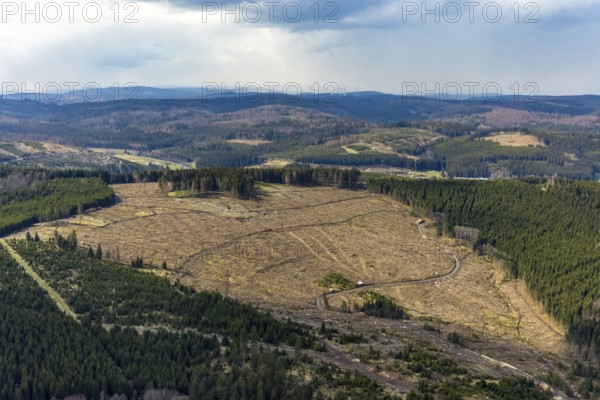 Aerial photo, forest damage in the forest area Berg Ebschloh, Erndtebrück, Siegerland, North Rhine-Westphalia, Germany, tree mortality, DE, Europe, aerial photo, aerial photography, aerial photography, overview, bird's-eye view, forest, forest area, forest damage, forest mortality, birds-eyes view, overview, bark beetle plague, spruce mortality, clearing, tree clearing, deforestation, woodpile