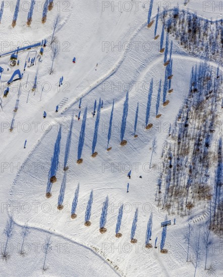 Aerial view, shadow play in snow-covered Krupp Park, Westviertel, Essen, Ruhr area, North Rhine-Westphalia, Germany, row of trees, DE, Europe, shapes and colours, aerial view, aerial photography, aerial photography, park, shadows, snow, walkers, overview, bird's eye view, winter, winter landscape, birds-eyes view, overview