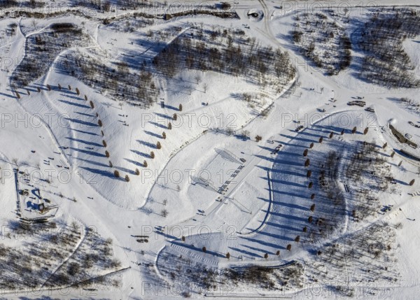 Aerial view, shadow play in snow-covered Krupp Park, Westviertel, Essen, Ruhr area, North Rhine-Westphalia, Germany, row of trees, DE, Europe, shapes and colours, aerial view, aerial photography, aerial photography, park, shadows, snow, walkers, overview, bird's eye view, winter, winter landscape, birds-eyes view, overview