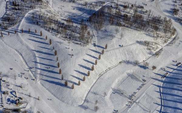 Aerial view, shadow play in snow-covered Krupp Park, Altendorf, Essen, Ruhr area, North Rhine-Westphalia, Germany, row of trees, DE, Europe, shapes and colours, aerial view, aerial photography, aerial photography, park, shadows, snow, walkers, overview, bird's eye view, winter, winter landscape, birds-eyes view, overview