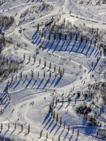 Aerial view, shadow play in snow-covered Krupp Park, Essen-Bochold, Essen, Ruhr area, North Rhine-Westphalia, Germany, row of trees, DE, Europe, shapes and colours, aerial view, aerial photography, aerial photography, park, shadows, snow, walkers, overview, bird's eye view, winter, winter landscape, birds-eyes view, overview