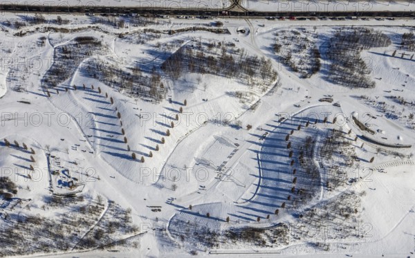 Aerial view, shadow play in snow-covered Krupp Park, Westviertel, Essen, Ruhr area, North Rhine-Westphalia, Germany, row of trees, DE, Europe, shapes and colours, aerial view, aerial photography, aerial photography, park, shadows, snow, walkers, overview, bird's eye view, winter, winter landscape, birds-eyes view, overview