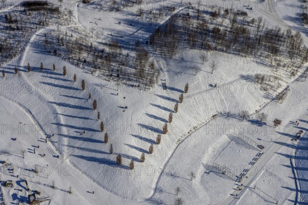 Aerial view, shadow play in snow-covered Krupp Park, Altendorf, Essen, Ruhr area, North Rhine-Westphalia, Germany, row of trees, DE, Europe, shapes and colours, aerial view, aerial photography, aerial photography, park, shadows, snow, walkers, overview, bird's eye view, winter, winter landscape, birds-eyes view, overview