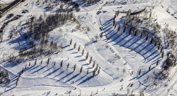 Aerial view, shadow play in snow-covered Krupp Park, Altendorf, Essen, Ruhr area, North Rhine-Westphalia, Germany, row of trees, DE, Europe, shapes and colours, aerial view, aerial photography, aerial photography, park, shadows, snow, walkers, overview, bird's eye view, winter, winter landscape, birds-eyes view, overview
