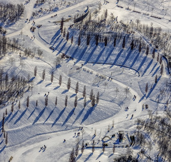 Aerial view, shadow play in snow-covered Krupp Park, Essen-Bochold, Essen, Ruhr area, North Rhine-Westphalia, Germany, row of trees, DE, Europe, shapes and colours, aerial view, aerial photography, aerial photography, park, shadows, snow, walkers, overview, bird's eye view, winter, winter landscape, birds-eyes view, overview