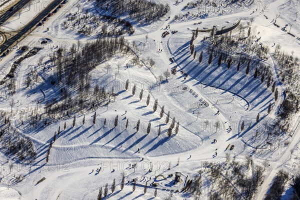 Aerial view, shadow play in snow-covered Krupp Park, Altendorf, Essen, Ruhr area, North Rhine-Westphalia, Germany, row of trees, DE, Europe, shapes and colours, aerial view, aerial photography, aerial photography, park, shadows, snow, walkers, overview, bird's eye view, winter, winter landscape, birds-eyes view, overview