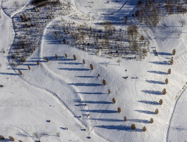 Aerial view, shadow play in snow-covered Krupp Park, Westviertel, Essen, Ruhr area, North Rhine-Westphalia, Germany, row of trees, DE, Europe, shapes and colours, aerial view, aerial photography, aerial photography, park, shadows, snow, walkers, overview, bird's eye view, winter, winter landscape, birds-eyes view, overview