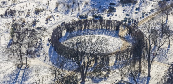 Aerial view, tree circle in Grugapark, Essen-Holsterhausen, Essen, Ruhr area, North Rhine-Westphalia, Germany, trees in winter, DE, Europe, circular shape, aerial view, aerial photography, aerial photography, snow, overview, bird's eye view, winter, birds-eyes view, overview