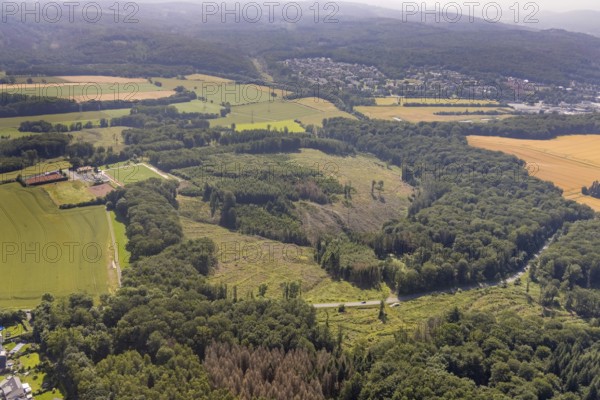 Aerial view, forest area Fürstenberg and Höinger Heide with forest damage, sports field Höingen, Ense, Sauerland, North Rhine-Westphalia, Germany, tree death, bark beetle damage, bark beetle plague, DE, Europe, football pitch, football stadium, clear-cutting, aerial photography, aerial photography, aerial photography, sports, sports facilities, sports field, sports shooting, sports facility, tennis, tennis facility, tennis courts, drought, overview, bird's-eye view, forest, forest damage, forest damage, forest dieback, birds-eyes view, overview